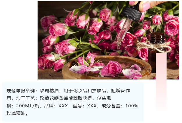 <a href='http://www.zjkccx.cn' title='危險品海運' >危險品海運</a>