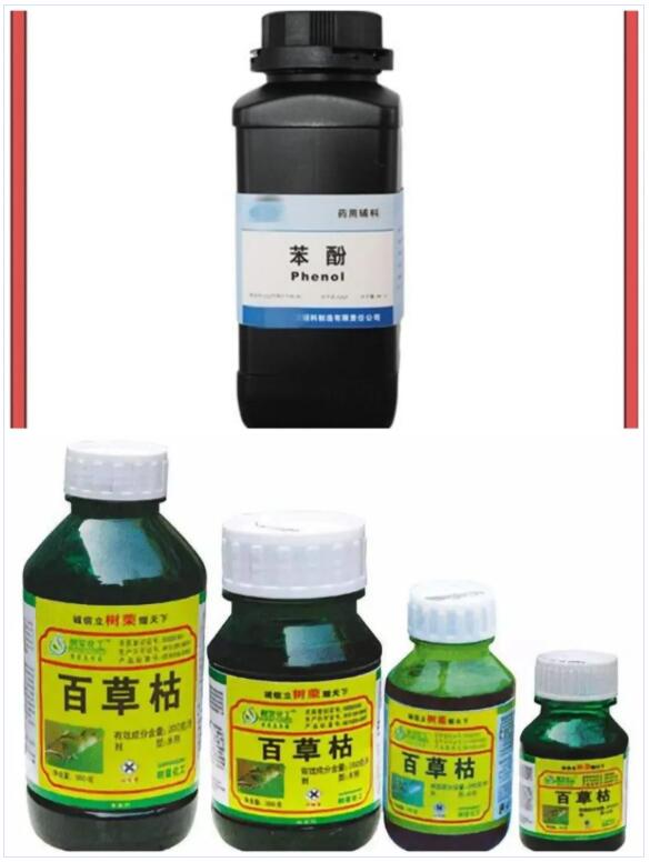 <a href='http://www.zjkccx.cn' title='國際貨運代理' >國際貨運代理</a>